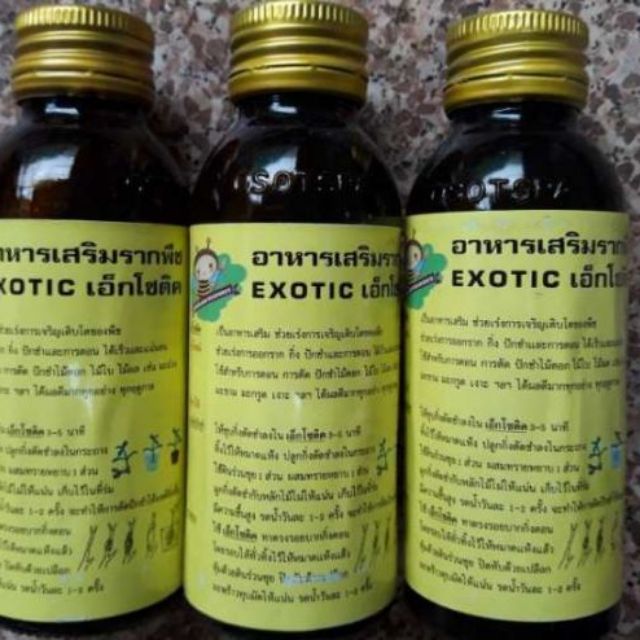 Kích rễ Thái Etoxic