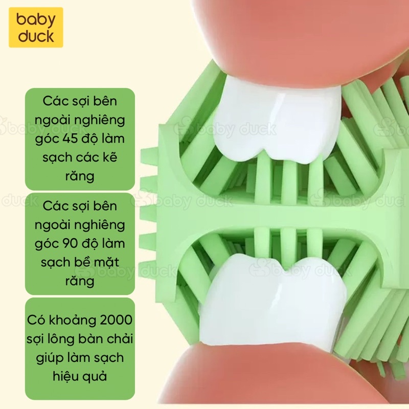 Bàn chải chữ u siêu cao cấp 2000 sợi lông chải hình quả bơ và sư tử