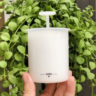 Cốc Tạo Bọt Sữa Rửa Mặt Nhỏ Xinh