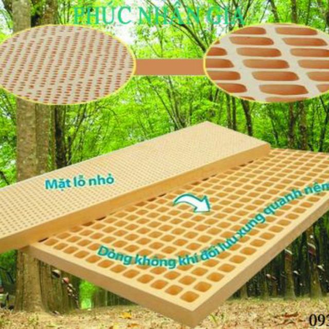 Nệm cao su thiên nhiên 100%