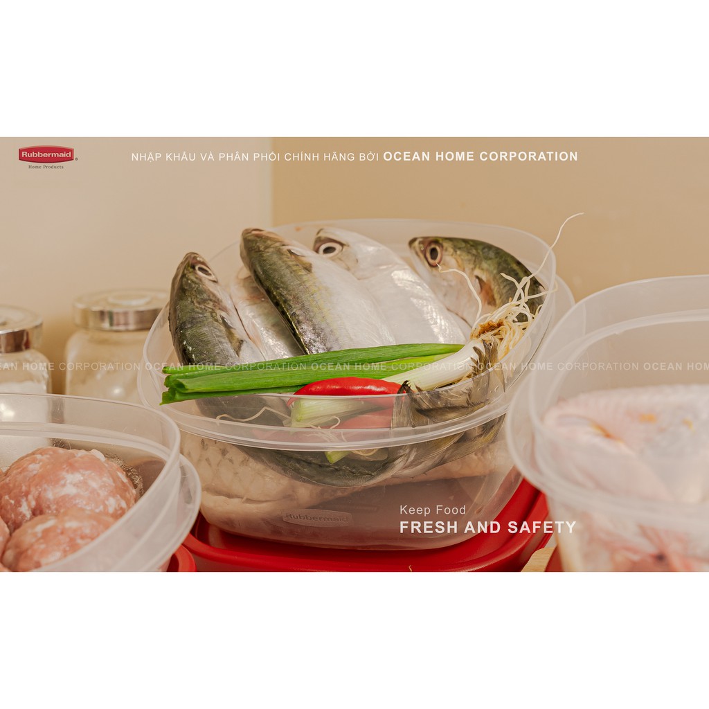 Bộ 4 hộp đựng thực phẩm nhựa nguyên sinh cao cấp  nắp có van RUBBERMAID USA