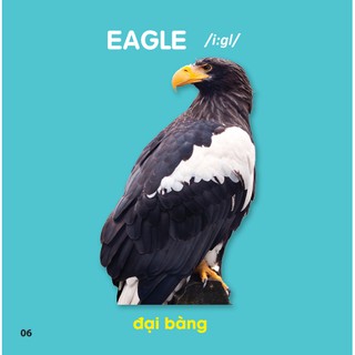 Bách Khoa Toàn Thư Cho Bé - Các Loài Chim
