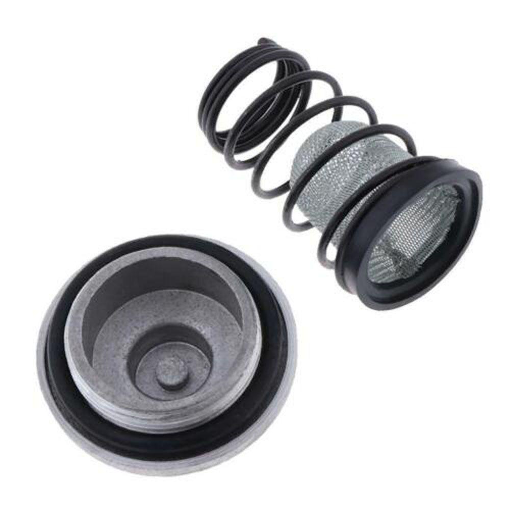 Set 2 Bộ Lọc Nhiên Liệu Dành Cho Xe Mô Tô GY6