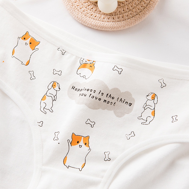 Set 5 quần lót nữ cotton dễ thương họa tiết mèo Go out_NuciFera