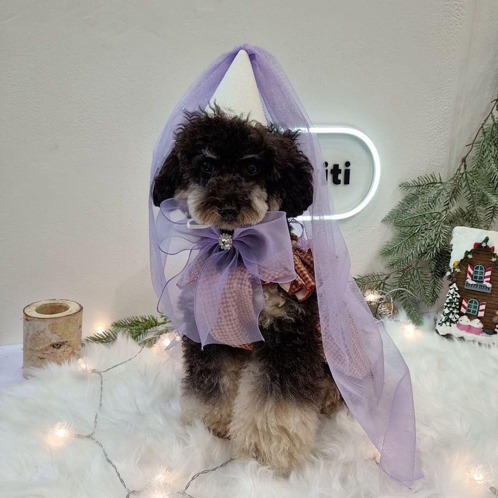 Khăn Choàng Cổ Kiêm Yếm Ăn Hình Tam Giác Đính Nơ Xinh Xắn Cho Cún Cưng