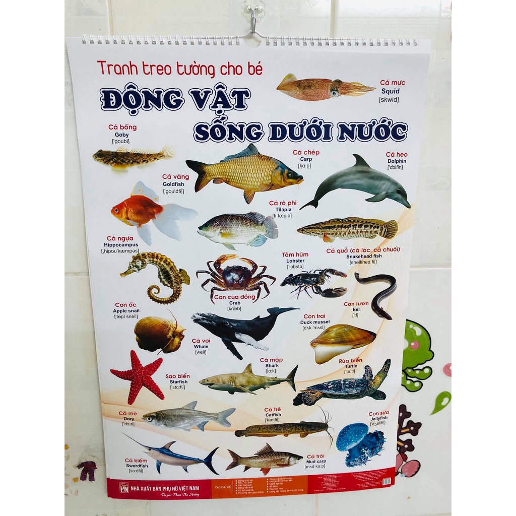 Khám Phá Thế Giới Mới: Tranh Treo Tường 16 Chủ Đề - Bộ Tranh 12 Mặt In Bóng Đẹp, Sự Sáng Tạo và Học Hỏi Cho Bé