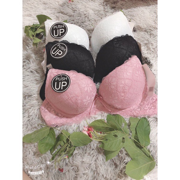 ♥️ SHOP UY TÍN ♥️ Áo Ngực Xuất Dư Các thương Hiệu Nước Ngoài Chủ Yếu Xuất Mỹ | BigBuy360 - bigbuy360.vn