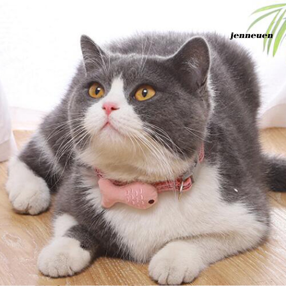 Vòng cổ choker có thể điều chỉnh dễ thương dành cho mèo