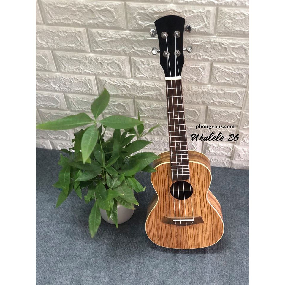 Đàn ukulele gỗ 26 đẹp giá rẻ