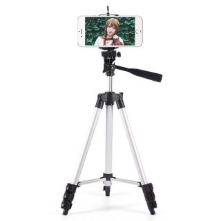 Gậy live streams