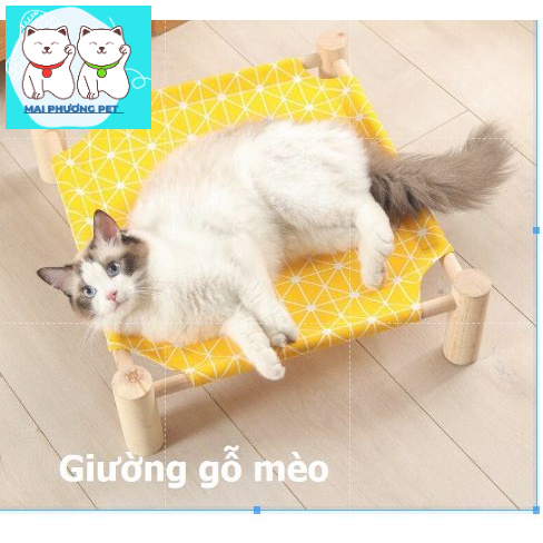 Giường gỗ cho mèo dành cho mèo và các giống chó nhỏ giường phong cách Nhật