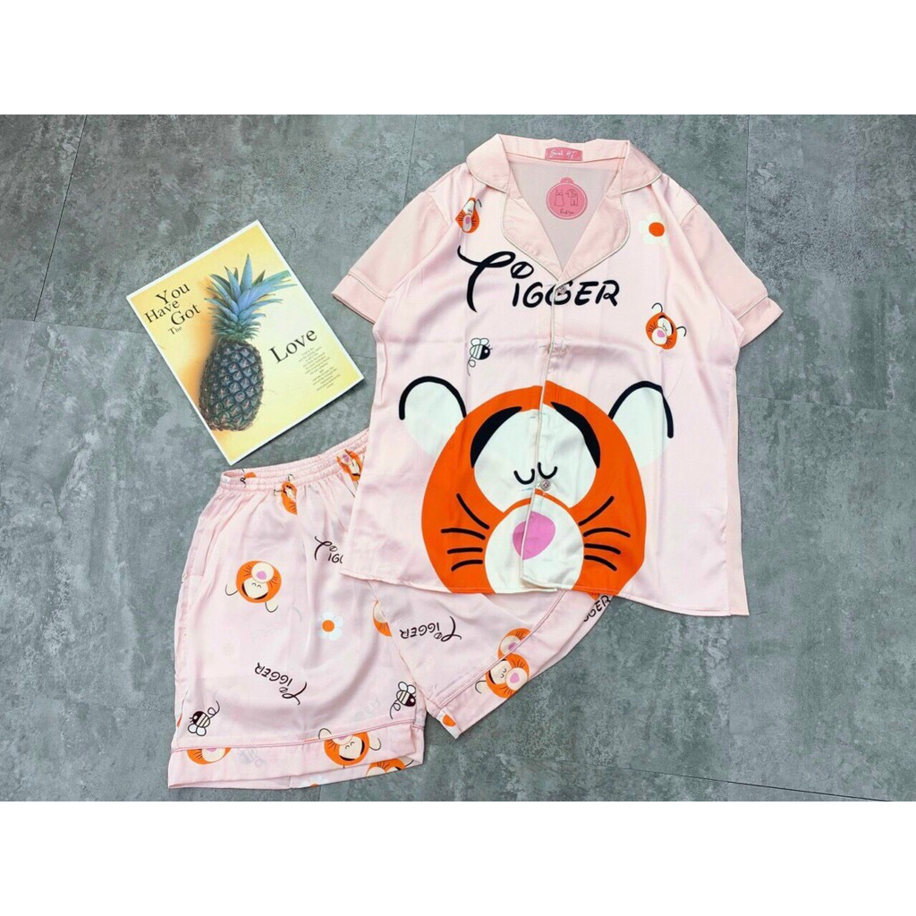 Bán Buôn bán sỉ đồ bộ Pijama Lụa Satin đẹp đủ mẫu Pijama mặc thỏa mái phong cách Hàn Quốc