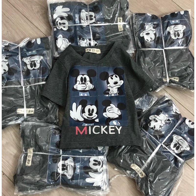 Áo cộc tay HM mickey lông chuột 1-10Y (có ảnh thật)