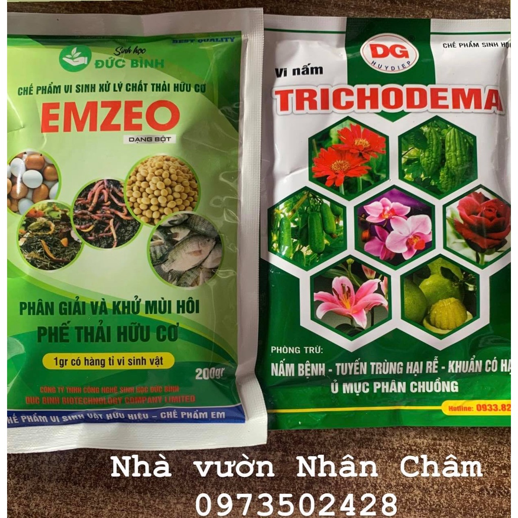 Combo mật rỉ đường & Trichodema ủ rác hữu cơ