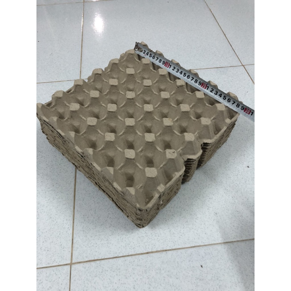 Vĩ giấy trứng gà