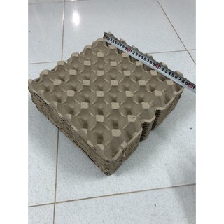 Vĩ giấy trứng gà