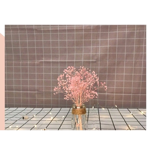 🍁 Set hoa baby khô nhiều màu 🍁 lọ hoa khô cắm sẵn trang trí phòng ngủ🍁