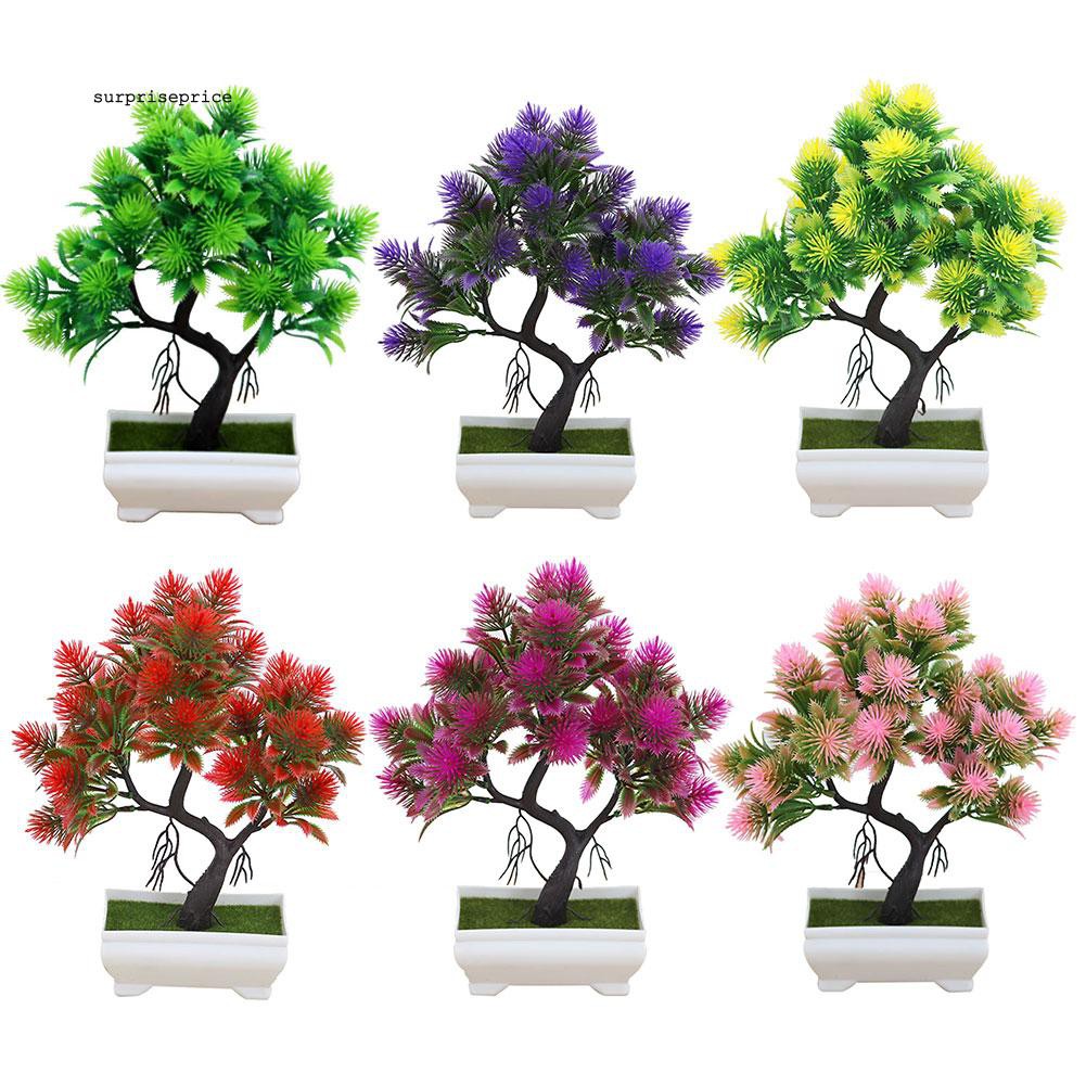 Chậu cây cảnh giả nhiều màu tùy chọn dùng trang trí tiểu cảnh đẹp mắt