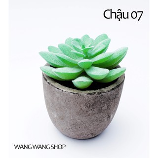 Chậu xương rồng nhựa, trang trí nhà, bàn làm việc, góc học tập, xinh xắn, dễ thương