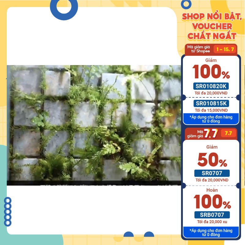 Đá viên vuông, phong cách michikusa trang trí bể terrarium, bán cạn, tiểu cảnh,gói 10 viên