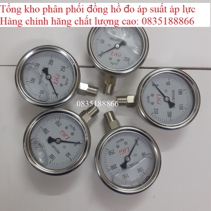 Đồng hồ đo áp suất khí nén hơi nước loại 250kg mặt 63mm chân đứng ren 13mm có dầu LiGi