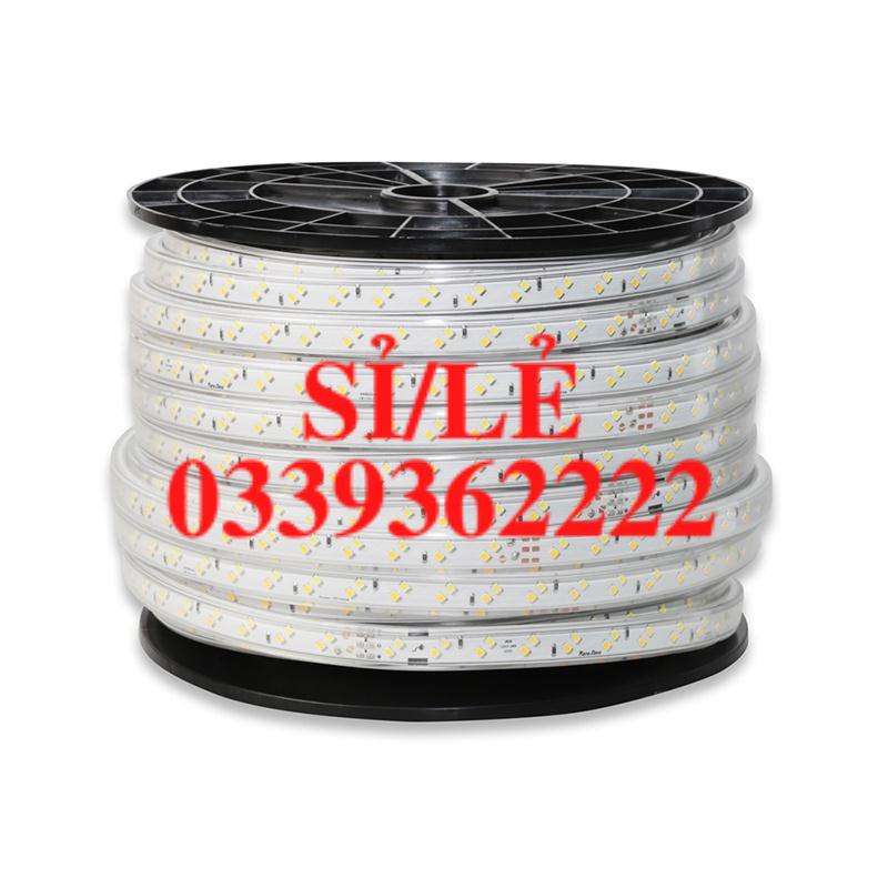 Đèn LED dây ĐỔI MÀU trang trí nhà cửa, nhà hàng, cửa tiệm LD01 ĐM 1000/9W - chính hãng Rạng Đông