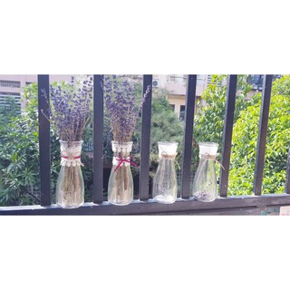 Lọ cắm hoa thủy tinh kèm Hoa Lavender