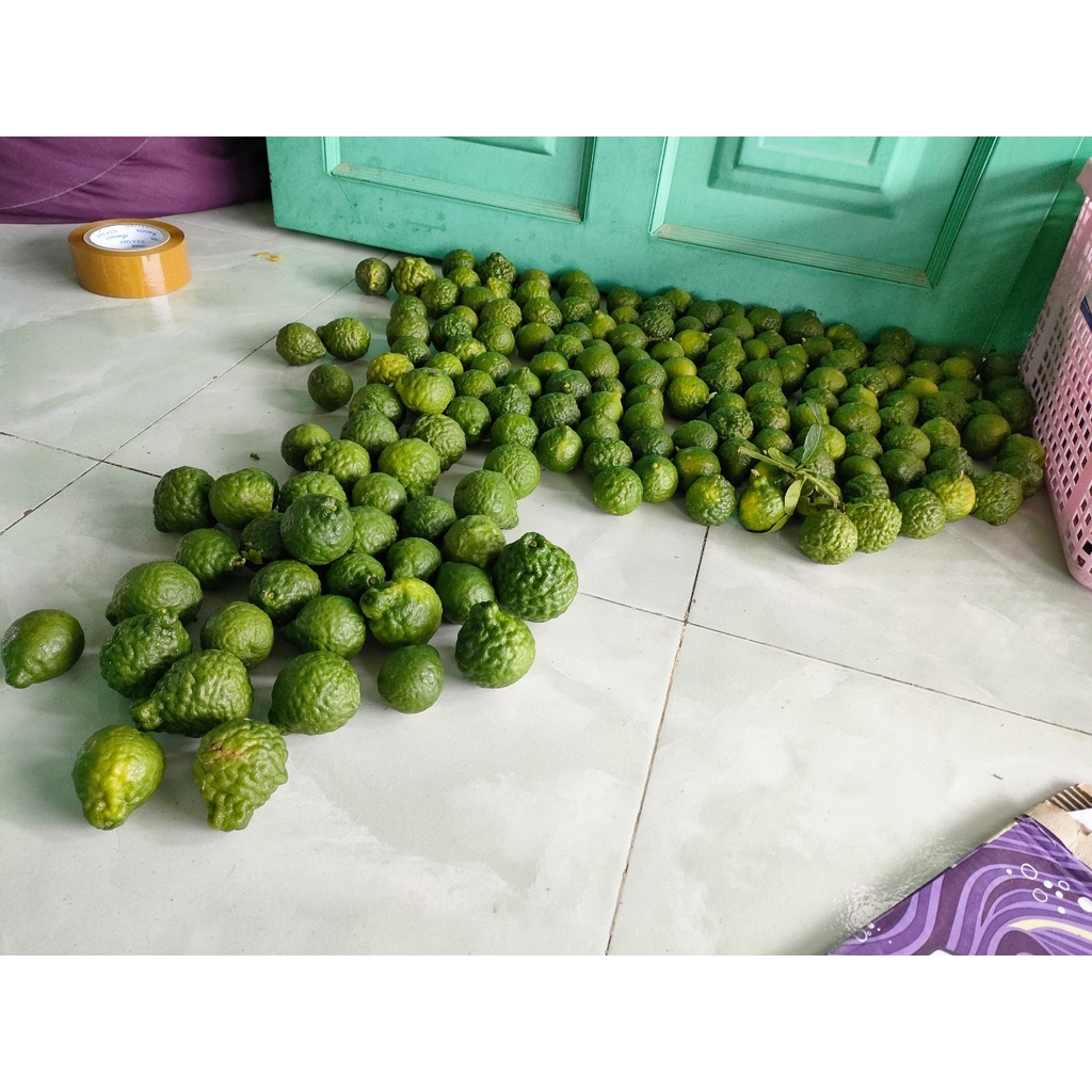 Trái chúc 0,5kg giá 50k. Trái chanh thái. Trái chanh não người