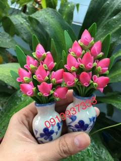 Chậu hoa đất sét cao 13 cm nhiều mẫu( 1 cặp 2 chậu )