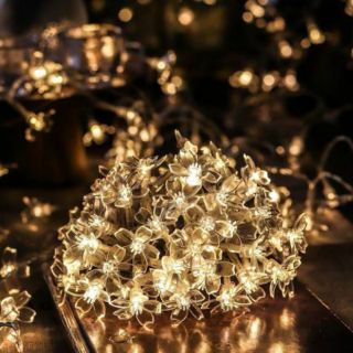 Đèn led trang trí năng lượng mặt trời chống nước SAKURA