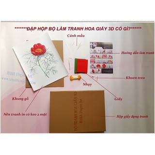 Bộ làm tranh hoa giấy 3D