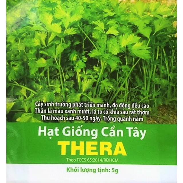 Hạt giống Cần Tây THERA