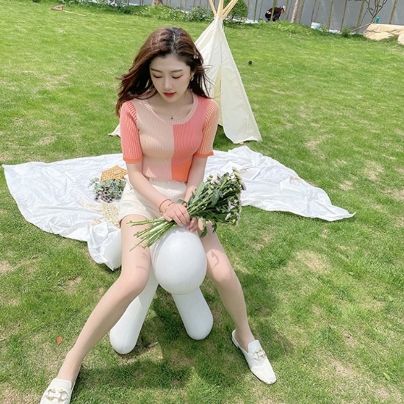 Áo Thun Tay Ngắn Màu Trơn Cho Nữ