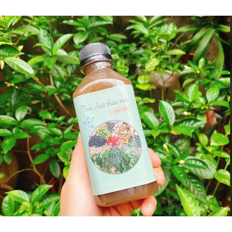 Tinh chất thảo mộc mọc tóc nhanh HANDMADE (330ML) | BigBuy360 - bigbuy360.vn