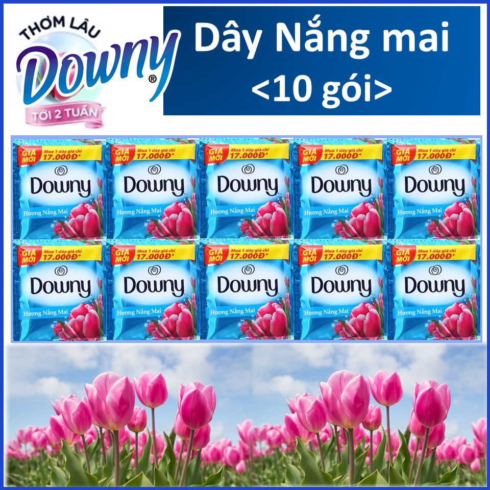 COMBO 6 dây Nước xả vải Downy Nắng mai 10 gói X6