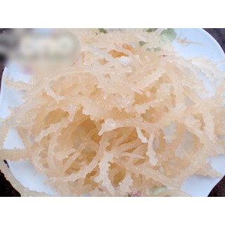 Rong biển trắng Phú Quốc 150K/Kg
