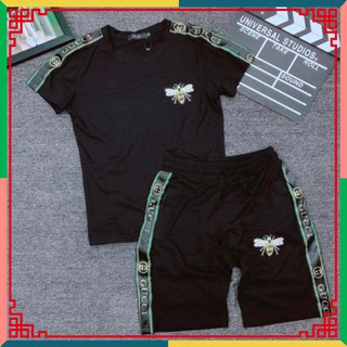 Bộ đồ nam bộ hè LOGO Ong cao cấp HS