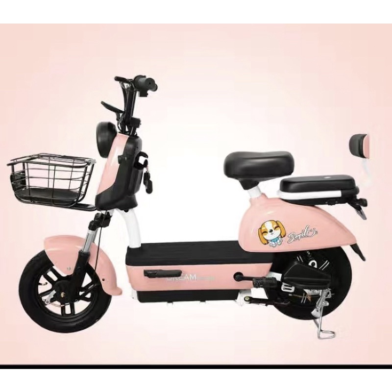 Xe điện 12AH oder