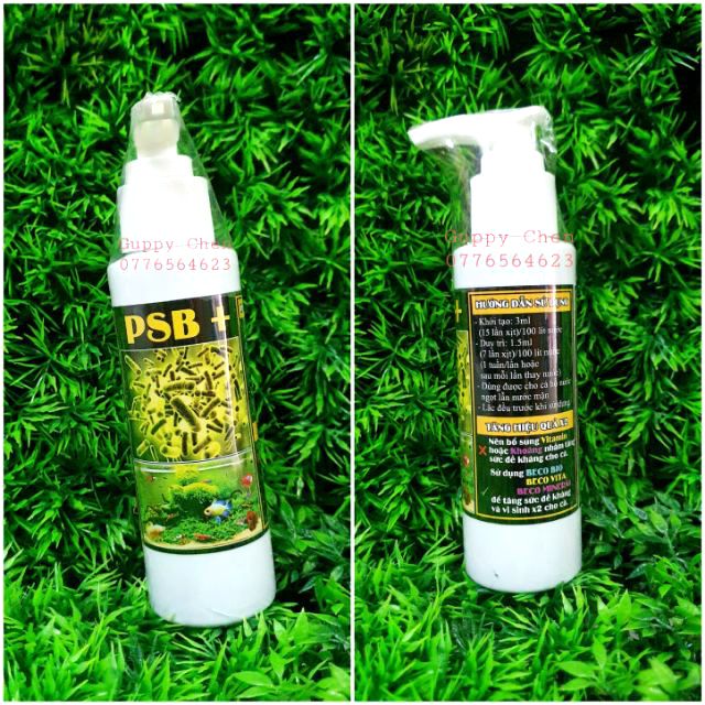 Vi sinh PSB + 30% độ đậm đặc cho hồ cá