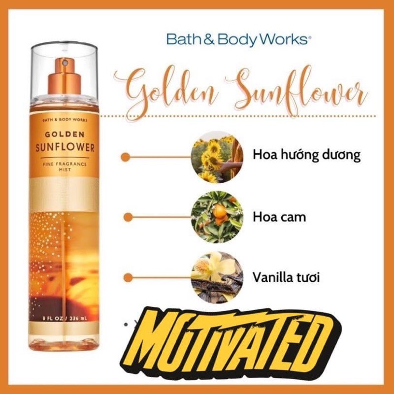 Bodymist Golden Sunflower của BBW