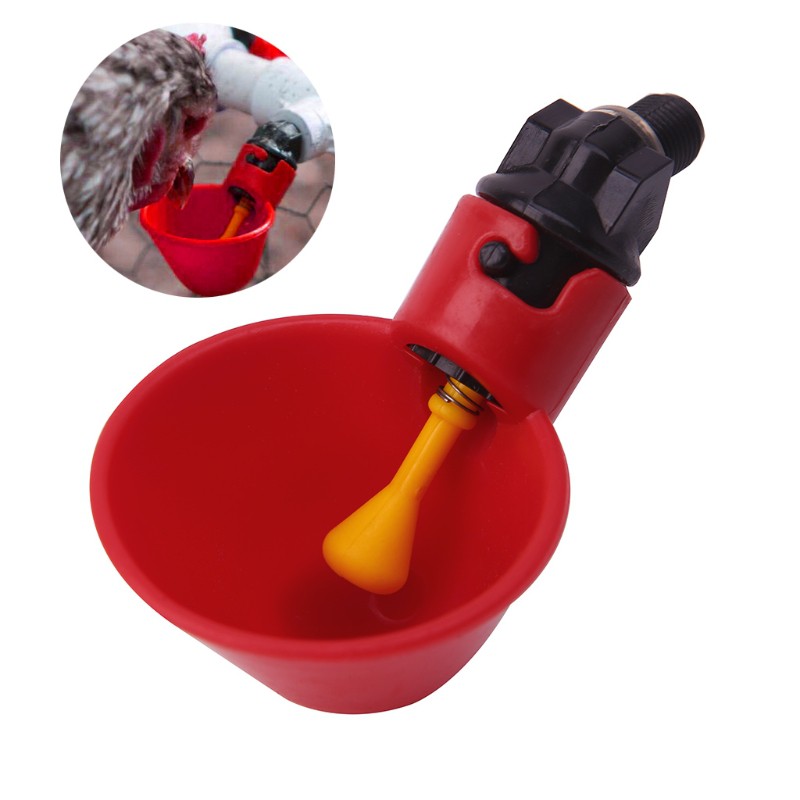 Bình uống nước tự động cho gà