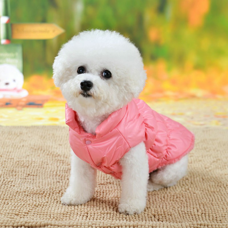 Quần áo cho chó con thu đông mèo Bichon Chihuahua và mèo, đệm bông cộng với vải nhung dày nhỏ