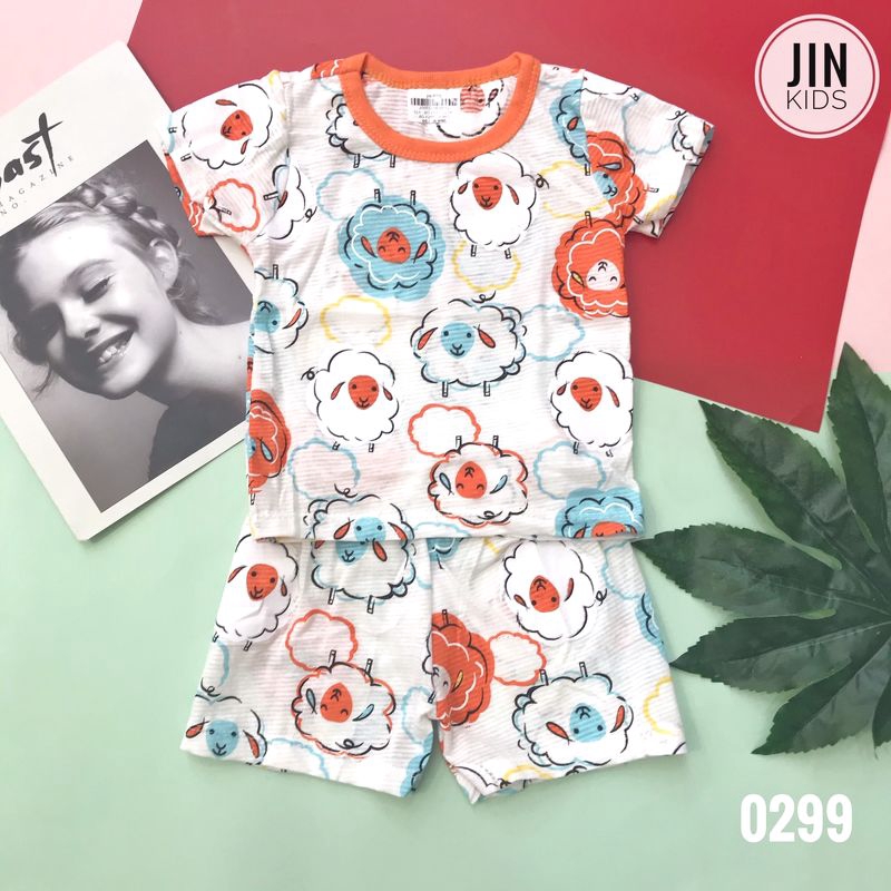 SET / BỘ COTTON TRE BG 0299