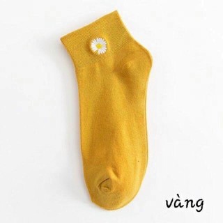 🌈𝐆𝐈𝐀́ 𝐗𝐔̛𝐎̛̉𝐍𝐆💢 com bo 10 đôi tất hoa cúc , vớ hoa cúc