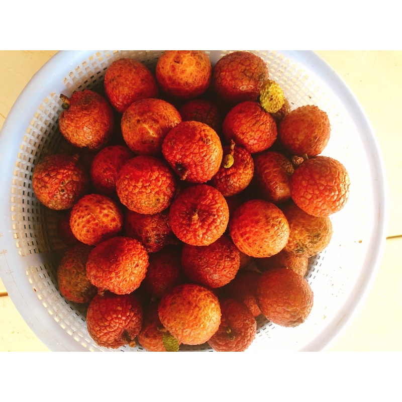 áo nữ váy nữ