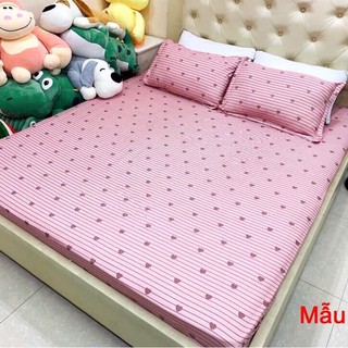 BỘ GA GỐI POLY COTTON 3 MÓN