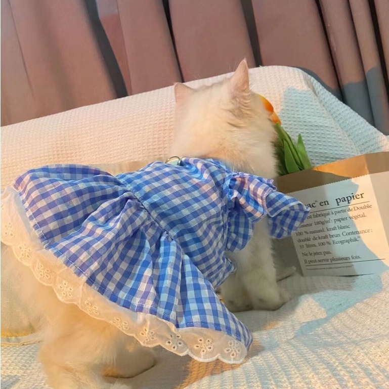 Đầm HiPiDog hình chú gấu teddy xinh xắn cho thú cưng