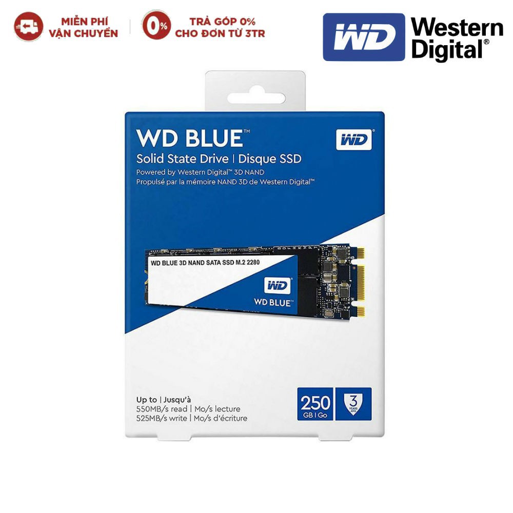 Ổ cứng SSD Western Digital WD Blue 250GB M.2 2280 SATA 3-WDS250G2B0B