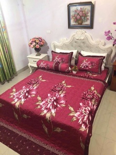 Combo set 5 món Chăn Hè chất Polycotton