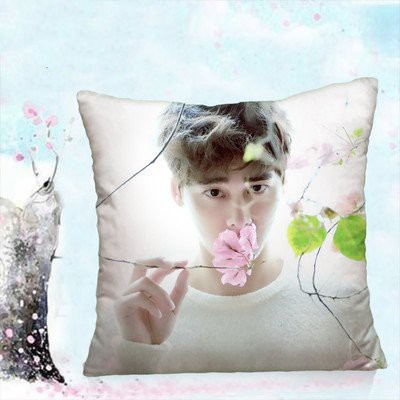 Gối in hình LÝ DỊCH PHONG idol diễn viên hoa ngữ xinh xắn tiện lợi chất đẹp